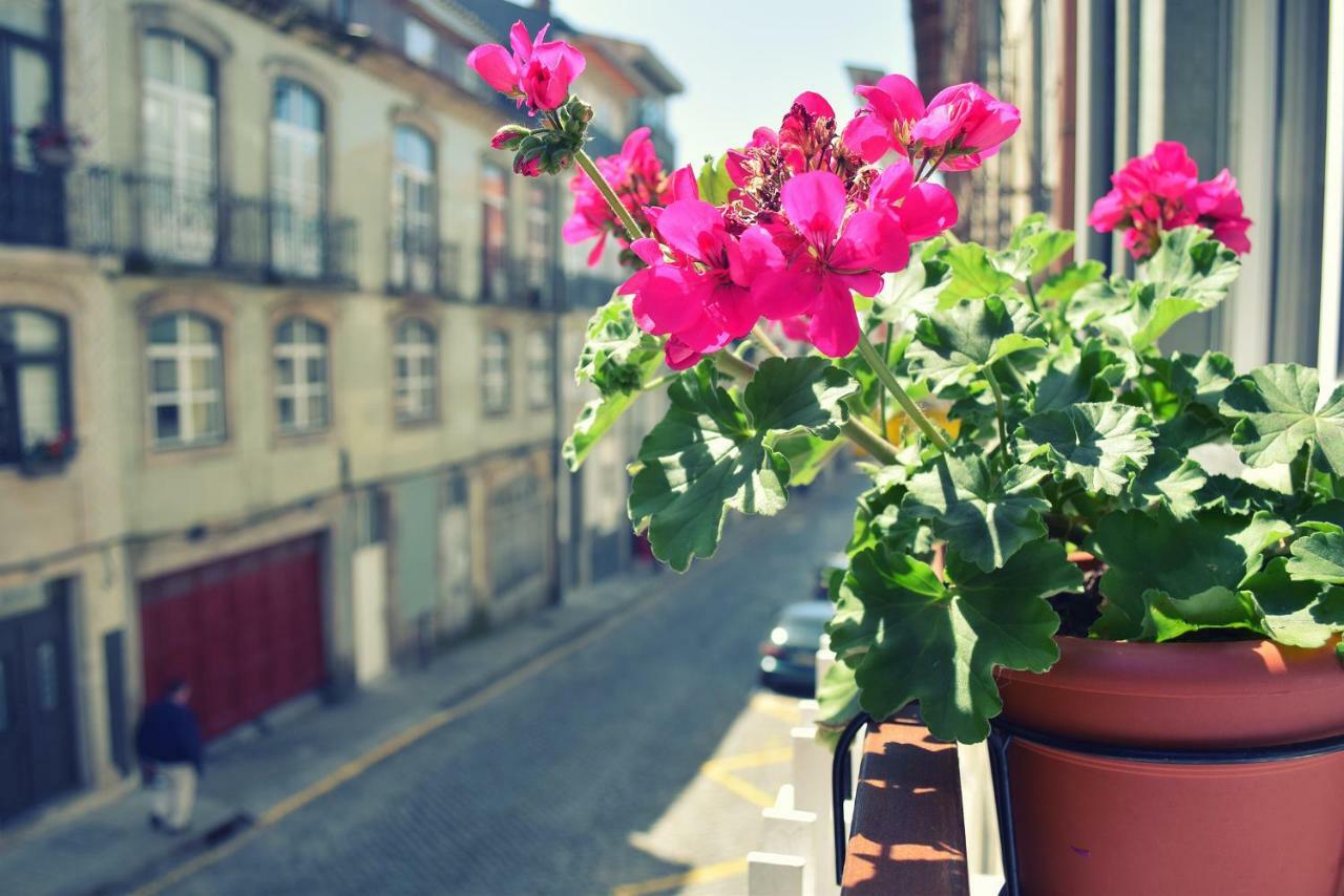 Apartament Cozy Loft In Downtown Porto